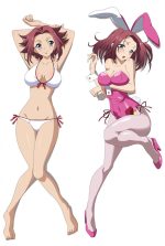Code Geass - Oreiller Dakimakura Anime en vente