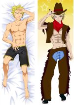 Fairy Tail - Long Coussin Dakimakura Multi-tailles